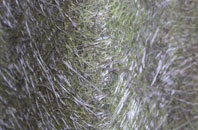 Wimbledon fibreglass roof work